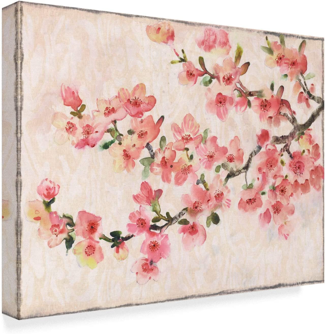 Trademark Fine Art 'Cherry Blossom Composition I' Canvas Art by Tim OToole