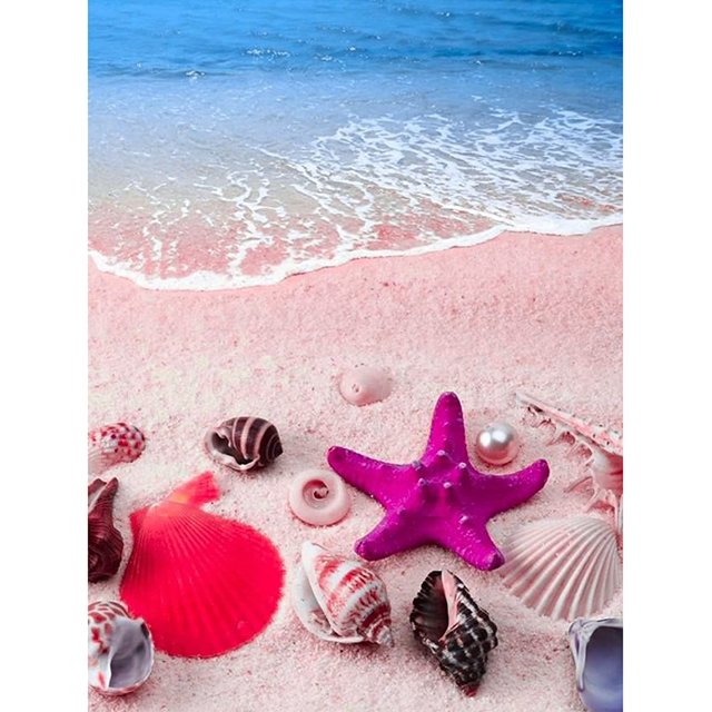 Kits de pintura de diamantes de playa, kits de pintura de diamantes 5D para adultos y niños, arte de diamante redondo completo para decoración del hogar, gran regalo para principiantes, concha de are