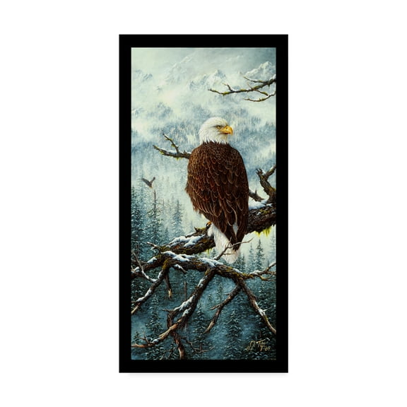 Trademark Fine Art 'Eagle Rest' Canvas Art by Jeff Tift