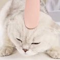thumbnail image 4 of Brosse de Toilettage Texturée à Double Extrémité avec Vraie Langue de Chat pour Chatons et Grandes Zones, 4 of 4