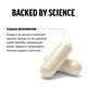 thumbnail image 3 of Suplemento de hongos Chaga Force Factor 120 cápsulas, 3 of 9