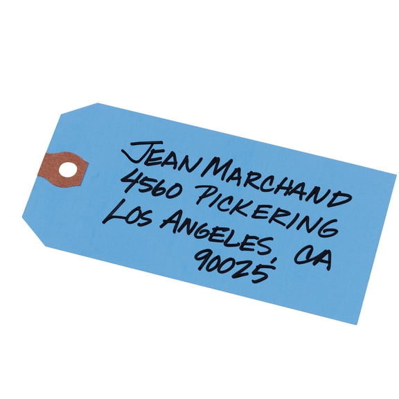 Avery Unstrung Shipping Tags, 11.5 pt. Stock, 4-3/4" x 2-3/8", 1,000 Blue Hang Tags (12355)