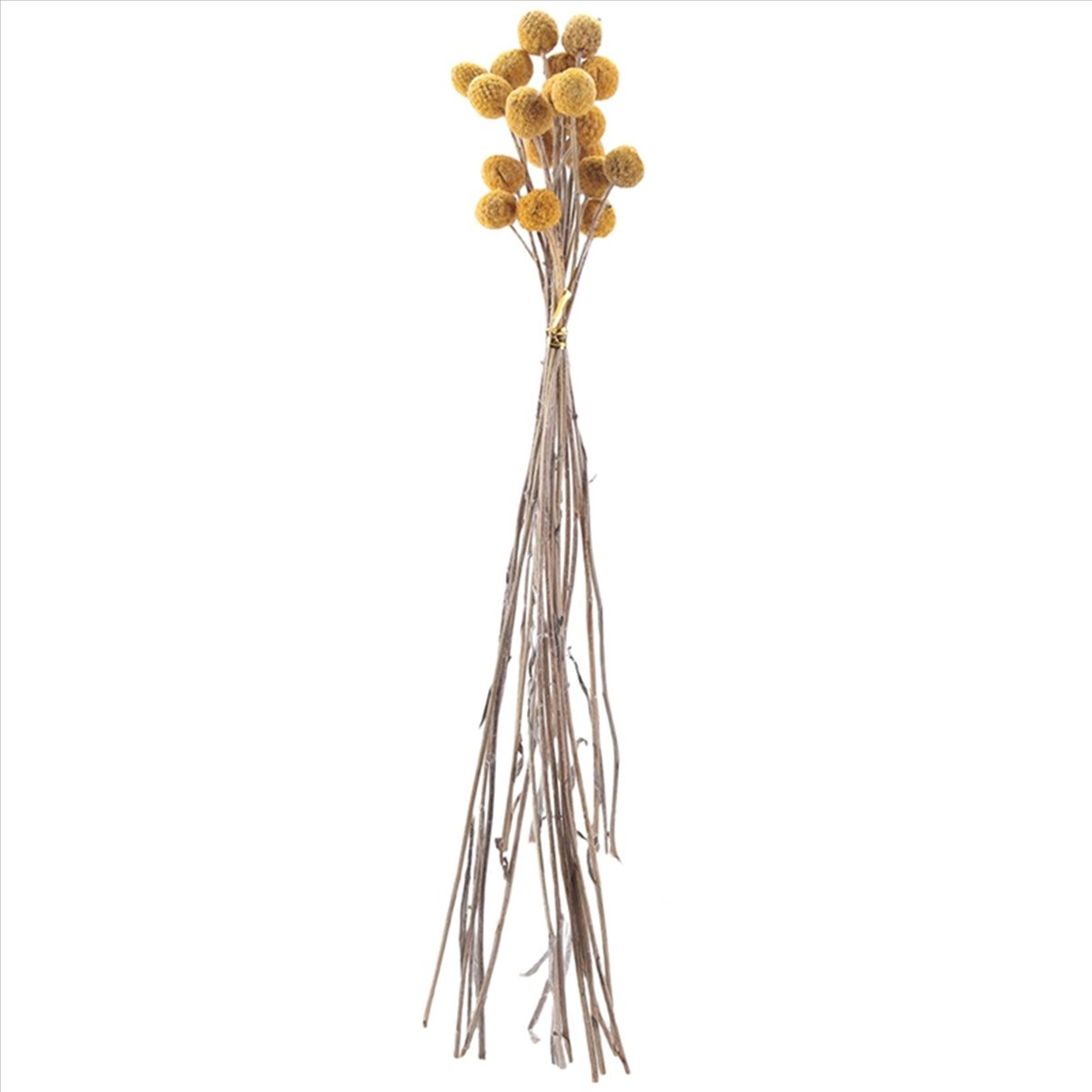 160Pcs Dried Craspedia Flowers Dried Button Balls Flowers,Dried Flower Bouquet for Arrangements Wedding Home Decor