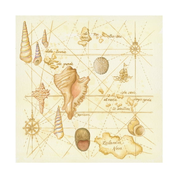 Canvas Wall Art - Andrea Strongwater 'Map Painted W Shells' Wall Art for Living Room, Bedroom, or Office Décor by Trademark Fine Art - 14 x 14 Inches