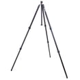 thumbnail image 5 of 3 Legged Thing Winston 2.0 3-Section Carbon Fiber Tripod, Metallic Slate Gray, 5 of 10