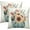 Sunflower Blue Pumpkin, variant on Hydrangea Flower Throw Pillow Cover Set of 2 18x18 Inch Vintage Blue Purple Floral Jar Watercolor Decorative Couch Pillow Cushion Case for Outdoor Patio Living Room Bedroom Decor