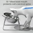 thumbnail image 3 of ACDANC Elevated Cat Bowls 5 Inch Wide Stainless Steel Cat Food Bowl Raised 15-Degree Tilted Food and Water Dish for Indoor Cats Small Dogs to Protect Spine Stainless Steel Cat Bowls, 3 of 7