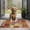 Pioneer Flower Floral-3, variant on Pioneer Flower Floral Print Pattern Door Rugs,Washable Non Slip Door Mats Indoor,Decorative Door Mats,Entry Mat Indoor for Entrance,Bedroom,Kitchen,Bathroom,17"x30"
