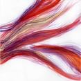 thumbnail image 3 of Buddenhaugen, Sophia 15x15 Black Modern Framed Museum Art Print Titled - Garden Abstraction 22, 3 of 5