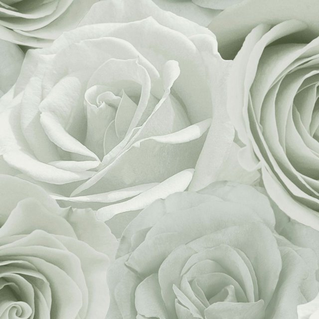 World Of Wallpaper Papier Peint Melany Rose