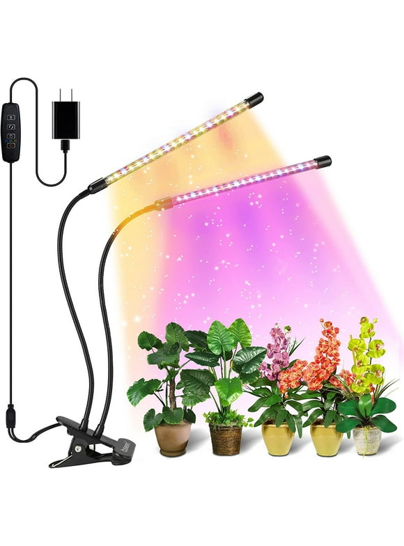 Grow Light Bulbs in Light Bulbs