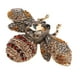 thumbnail image 3 of Joyería de Broche, Forma de Abeja Estilo Elegante Joyería de Broche Para Bodas, 3 of 7
