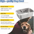 thumbnail image 7 of Automatic  Waterer for Large & X-Large Dogs,  18/8 Stainless , Water Bottle Not Included, 7 of 7