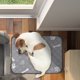 thumbnail image 4 of Alfombrillas para cachorros reutilizables y lavables, para perros y gatos; duraderas, a prueba de fugas y antideslizantes; para el hogar y los viajes, 4 of 6