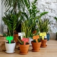 thumbnail image 2 of 100Pcs T-Type Plant Tags，Waterproof Thick Plastic Plant Makers，6 x10cm Nursery Garden Labels(Multicolor) (SZ-BC610T), 2 of 7