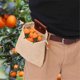 thumbnail image 5 of Camping Outdoor Foraging Bag Fruit Picking Bag Waist Hanging Tool Bag Jungle Storage Bag, 5 of 6