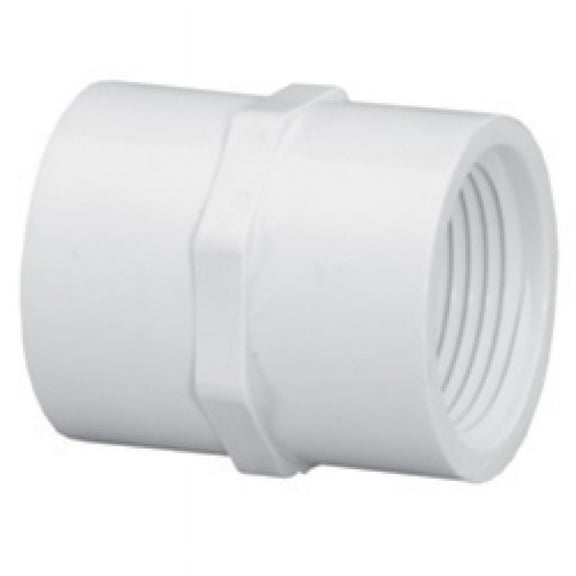 Westlake Pipe & Fittings Coupling,PVC,3/4 in,FNPT,SCH 40,White 430007BC