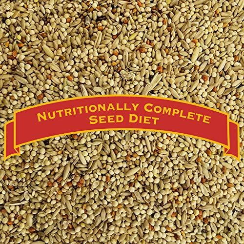 Budgie food walmart cheap