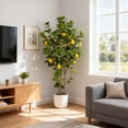 thumbnail image 6 of Huisuilinss Artificial Lemon Tree,Fake Lemon Tree,Faux Lemon Plant,Faux Lemons Citrus Tree In Pot,Yellow Fake Lemon Fruit Silk Tree For Home Office Kitchen Decor Party Wedding Christmas,2 Pack 4FT, 6 of 8