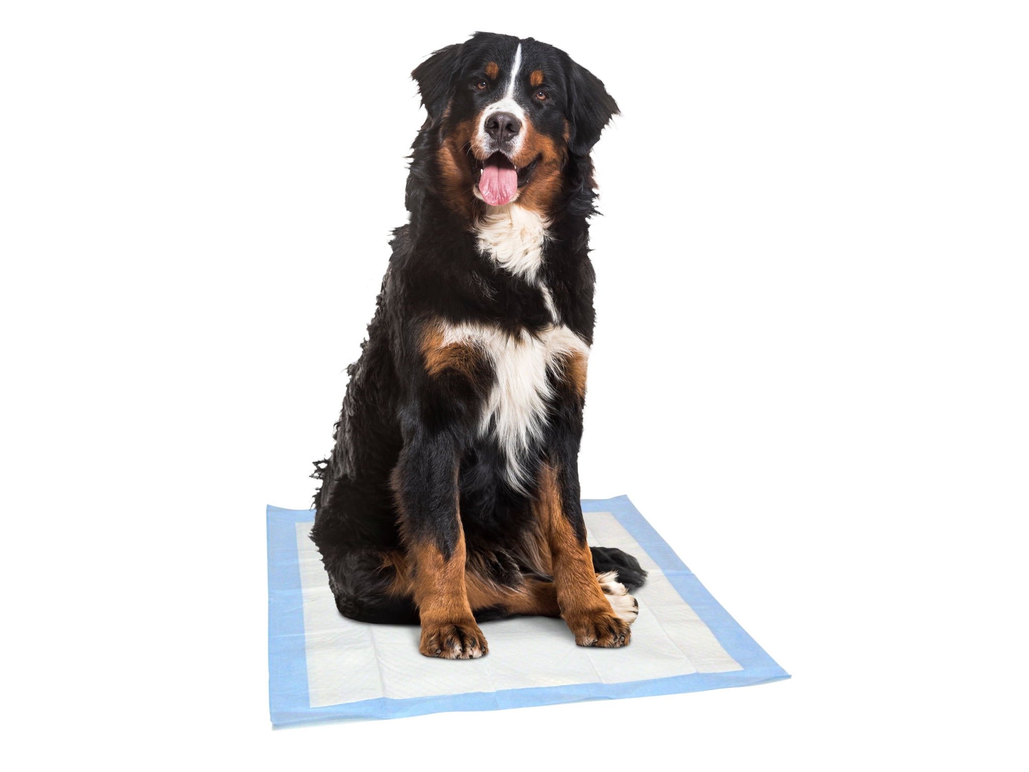 Dr. Pol Ultra-Absorbent X-Large Fresh Scent Training Pads - 50 Count - 30x28