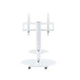 thumbnail image 3 of Proman Products, White Venus TV Stand, 3 of 5