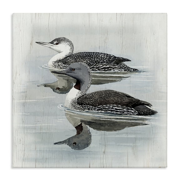 Stupell Industries Twin Loons in Water Animals Painting Wrapped Canvas Art Print Wall Art, 17 x 17