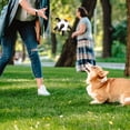 thumbnail image 4 of WREESH Pet Ball Toy Outdoor Interactive Football Dog Training Ball Multi-functional Rope Biting Dog Ball Dog Toy Clearance, 4 of 9