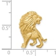 thumbnail image 4 of 14k Yellow Gold Solid Brushed & Diamond-cut Lion Chain Slide Charm Pendant, 4 of 7