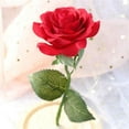 thumbnail image 1 of Wow Rose 400037 Rose Forever Light, 1 of 1