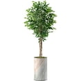thumbnail image 4 of Artificial Tree in Modern Granite Effect Planter, Fake Ficus Silk Tree for Indoor and Outdoor Home Decoration - 66" Overall Tall (Plant Pot Plus Tree), 4 of 5