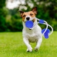 thumbnail image 5 of Jouets à mâcher pour Chiens avec Ventouse, Nouveau Jouet de Cordes pour Chien Multifonctionnel pour molaire, Nettoyage des Dents, Morsure - Caoutchouc Naturel, 5 of 5