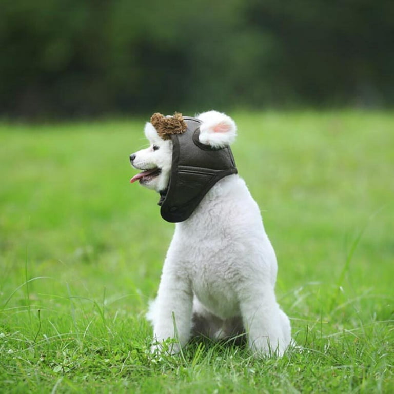 STOBOK dog owner matching hats with Simple Design for Pets in