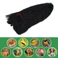 thumbnail image 1 of Bird Protective Mesh Netting Keep Birds And Pests Away From Your Garden  50 X 25ft, 1 of 8