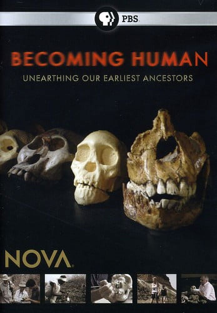 生命進化の謎　ＬＩＦＥ　ＯＮ　ＥＡＲＴＨ，　Ａ　ＮＥＷ　ＰＲＥＨＩＳＴＯＲＹ　ＤＶＤ－ＢＯＸ Amazon.co.jp: 生命進化の謎 LIFE ON EARTH, A NEW PREHISTORY