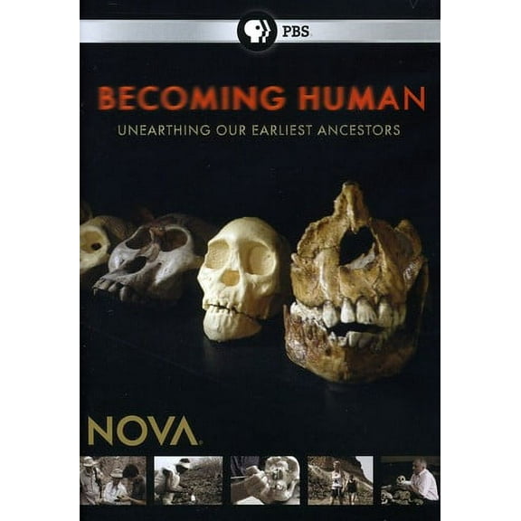 Nova: Becoming Human: Unearthing Our Earliest Ancestors (DVD), PBS (Direct), Music & Performance
