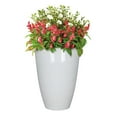 thumbnail image 3 of L&G Solutions 22 in. H X 16 in. D Polyresin Baja Planter White, 3 of 3