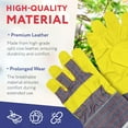 thumbnail image 3 of Yellow Suede Leather Work Gloves for Men & Women. 12 Pack of Standard Wing Thumb Gloves with Safety Cuff & Striped Cotton Canvas Back. Lightweight Waterproof Gloves for Work in Cold Weather, 3 of 8