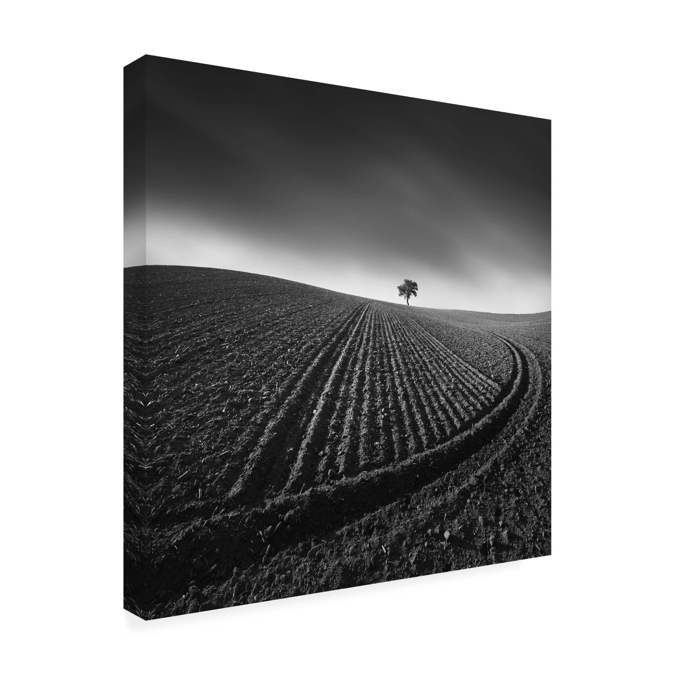 Trademark Fine Art Tomas Tison Radius Canvas Wall Art