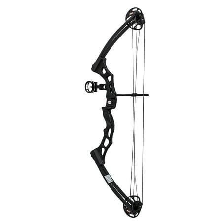 SAS Quad Limb Compound Bow Package 35-65 Lb 22-31'' Adjustable With 3-pin Sight and Arrow (Best Compound Bow Sights)
