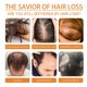 thumbnail image 4 of El aceite de semilla de calabaza EELHOE nutre y repara las raíces del cabello, lo engrosa y, 4 of 5