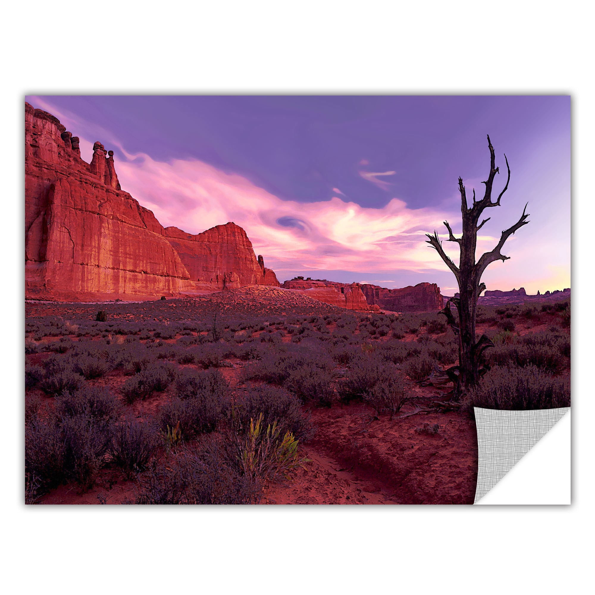 ArtWall Dean Uhlinger "High Desert Dawn" Art Appealz Removable Wall Art