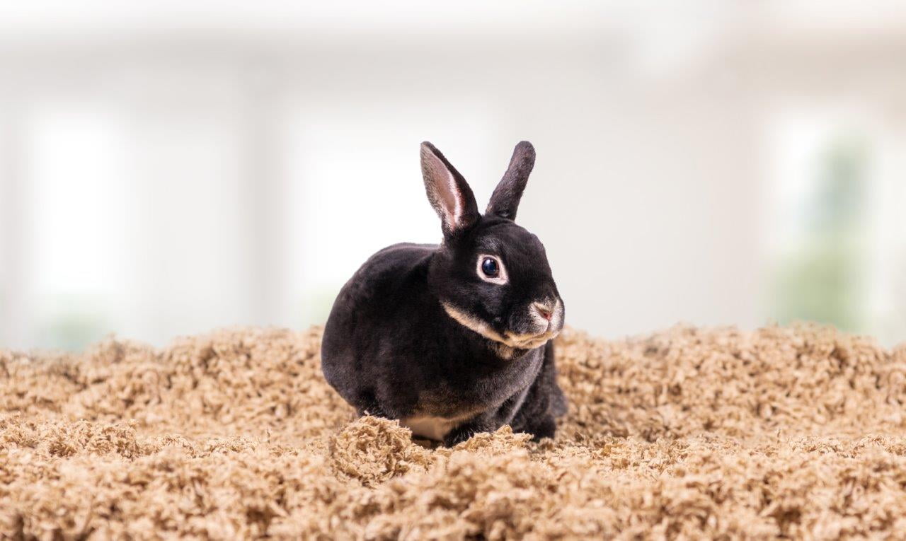 Pets Pick 56L Natural Uber Pet Bedding