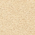 thumbnail image 5 of SAFAVIEH Clyde Solid Plush Polyester Shag Area Rug, Cream, 5' x 5' Round, 5 of 5