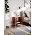 thumbnail image 4 of Acrylic Nightstand Colorful Bedside Table with Open Storage Shelf,Clear Side Table for Living Room (1, Dark Brown), 4 of 9