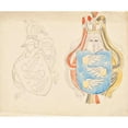 thumbnail image 2 of Franz von Matsch 14x12 Gold Ornate Wood Frame and Double Matted Museum Art Print Titled - Draft for a Family Coat of Arms (1912), 2 of 4
