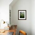 thumbnail image 5 of Great Smoky Mountains National Park, North Carolina, USA, Botanical Scenic Framed Art Print Wall Art by Adam Jones Sold by Art.Com, 5 of 6