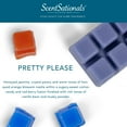 thumbnail image 4 of Pretty Please Scented Wax Melts, Scentsationals, 2.5oz (5-Pack), 4 of 6