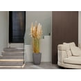 thumbnail image 7 of Tall Faux Pampas Grass | 81” Tall grass in a tall dark planter | Vintage Home, 7 of 7