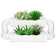 thumbnail image 3 of Maceta para Plantas Suculentas Ticfox Decoración del Hogar SGZ0206 Color Carne Fresca, 3 of 9