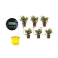 thumbnail image 1 of Garden Intelligent Drip Irrigation System Indoor Automatic Watering Timer Device Irrigation Controller Kits For Home,Potted Use ,Easy to Operate, 1 of 7